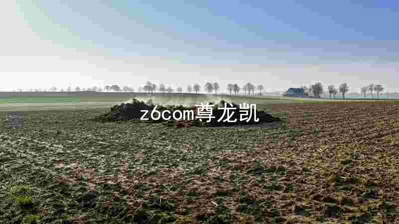 z6com尊龙凯