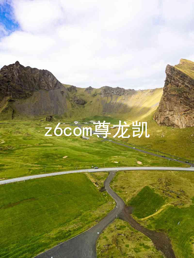 z6com尊龙凯