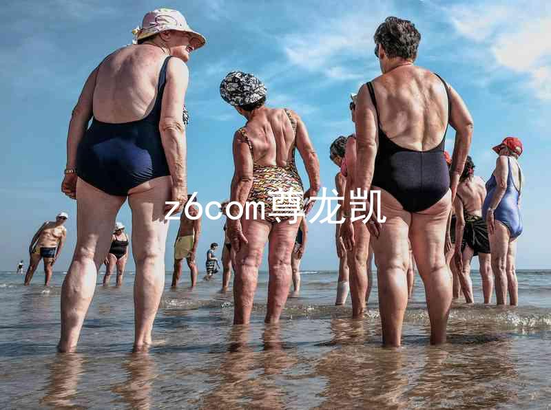 z6com尊龙凯